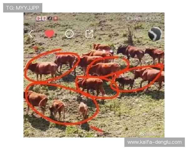 cq9电子首页安全可靠平台推荐保障玩家资金与信息安全