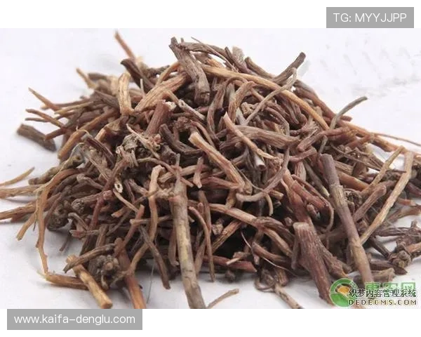 凯发登录首页最新优惠活动与福利礼包领取方法全攻略