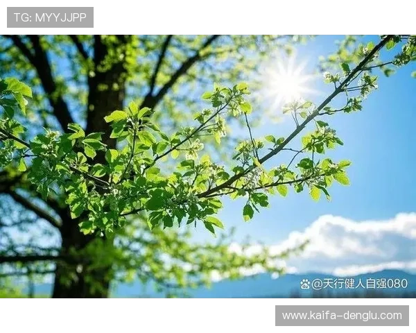 凯发平台网页版登录积极响应国家政策，推动绿色健康娱乐新生态建设