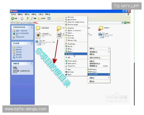 如何在K8凯发手机官网上快速找到适合自己的游戏客户端版本